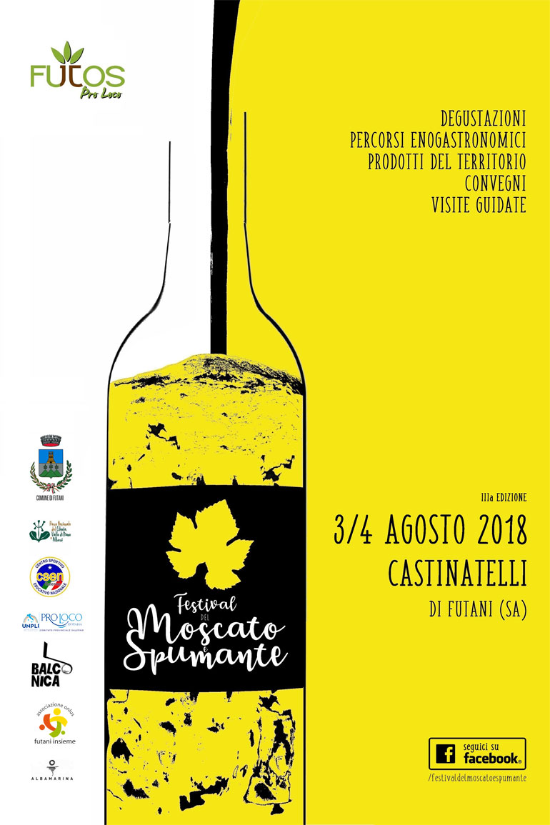 Locandina FMS 2018